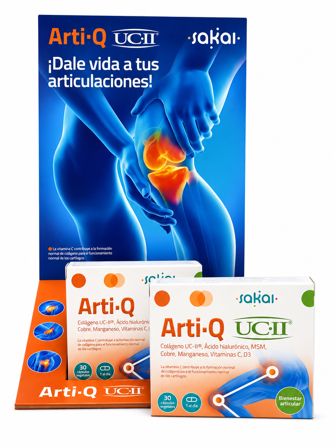 ARTI-Q UC.II ARTICULACIONES
