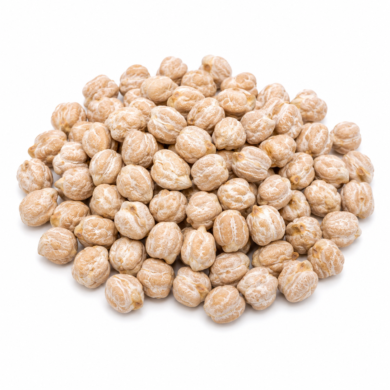 GARBANZO LECHOSO