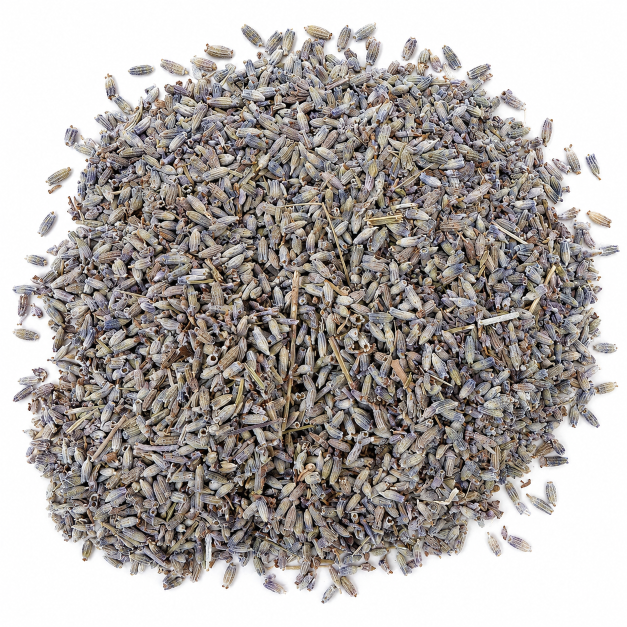 LAVANDA