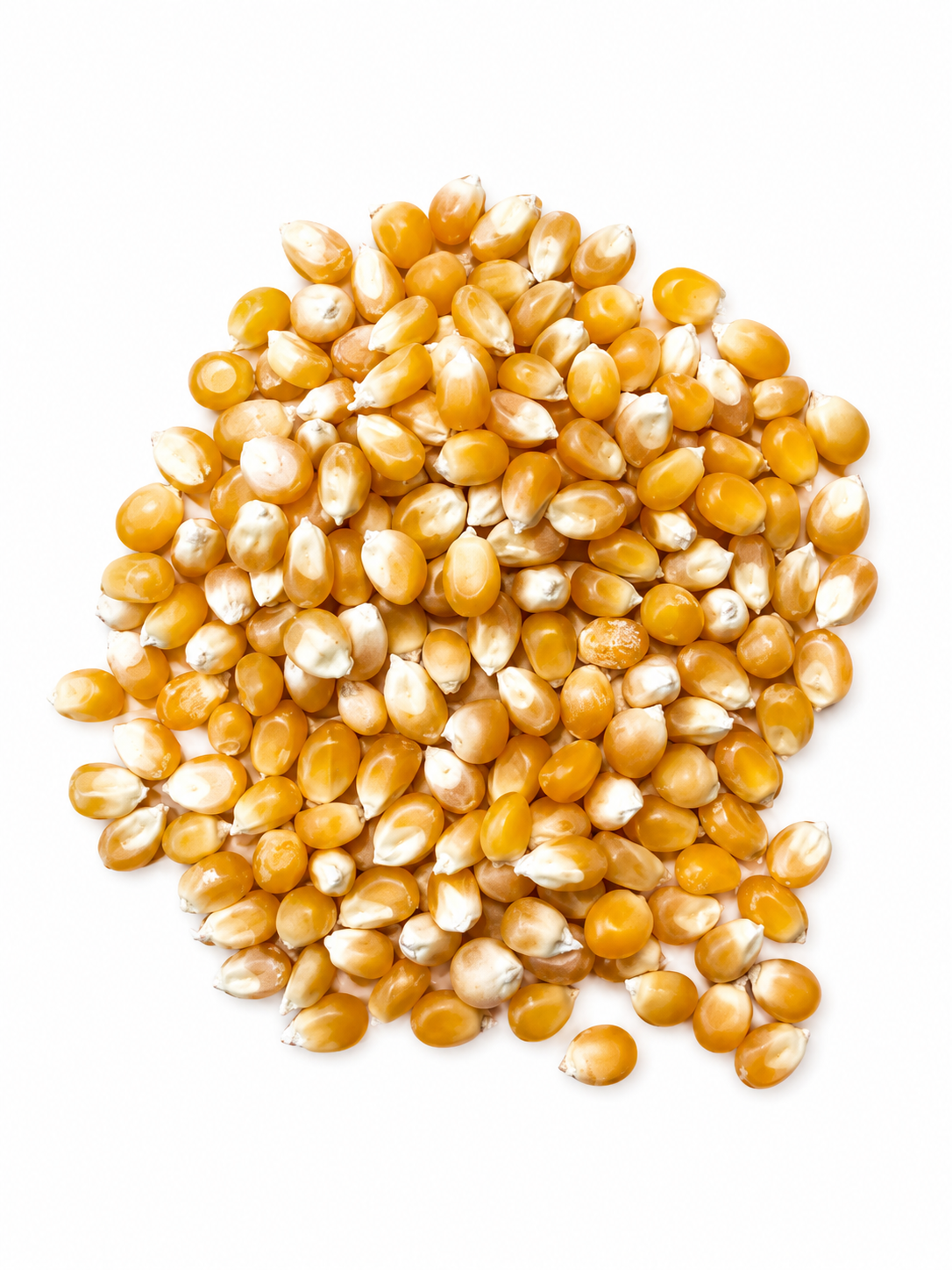 MAIZ PALOMITAS