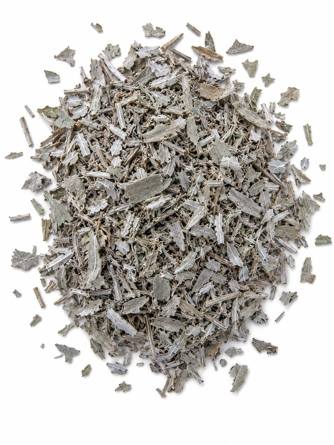 SALVIA
