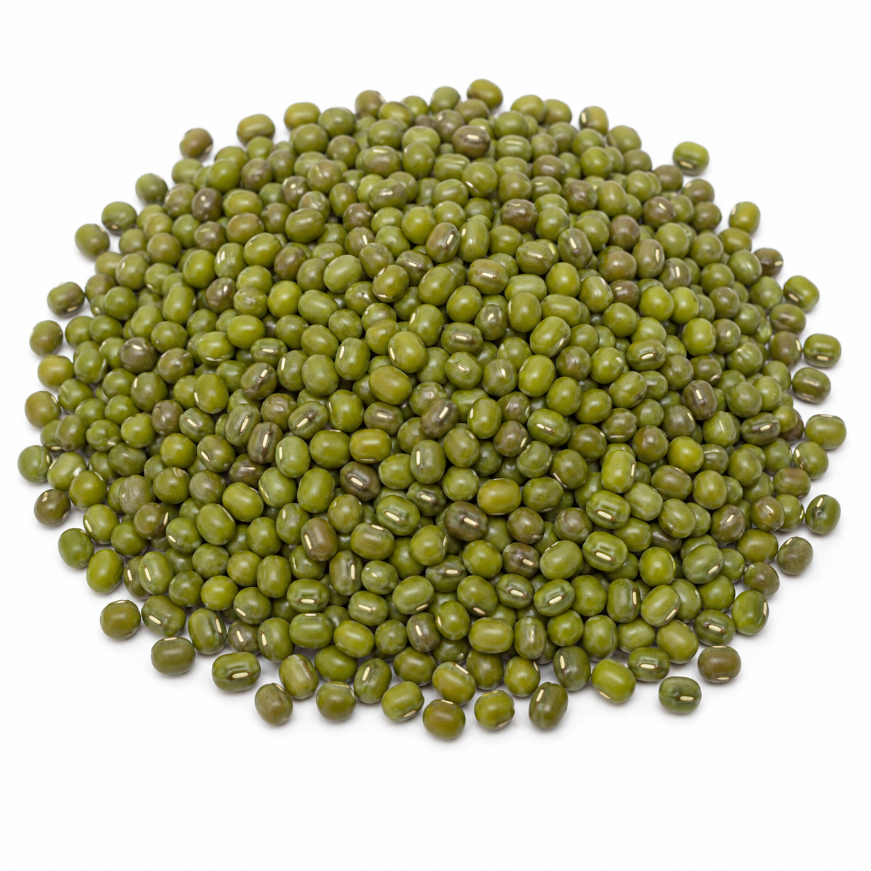 SOJA GERMINADA ECO