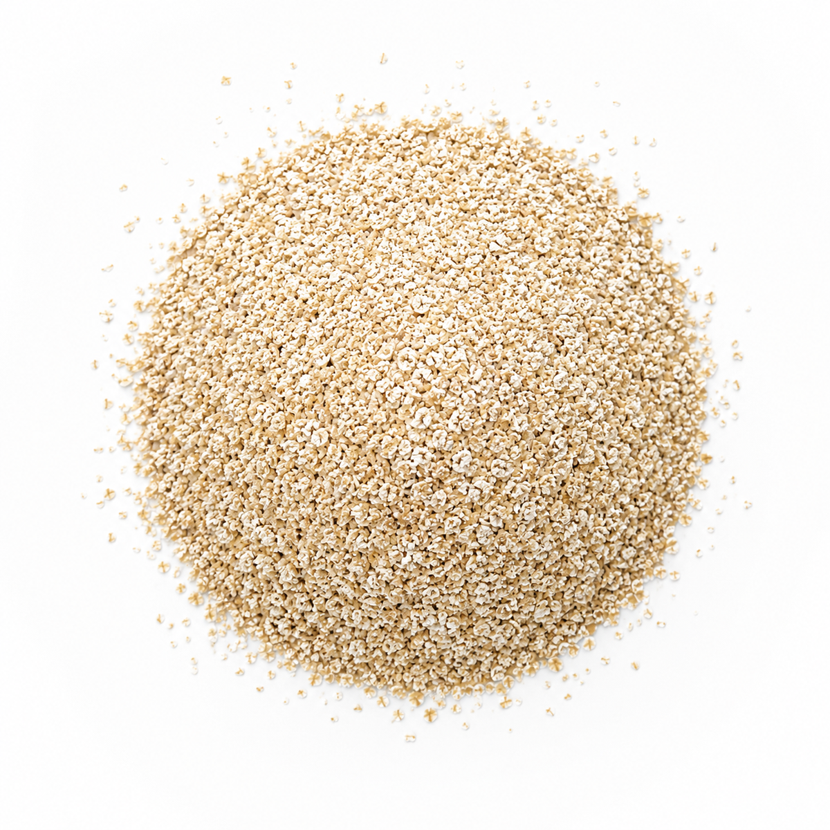 SALVADO DE AVENA
