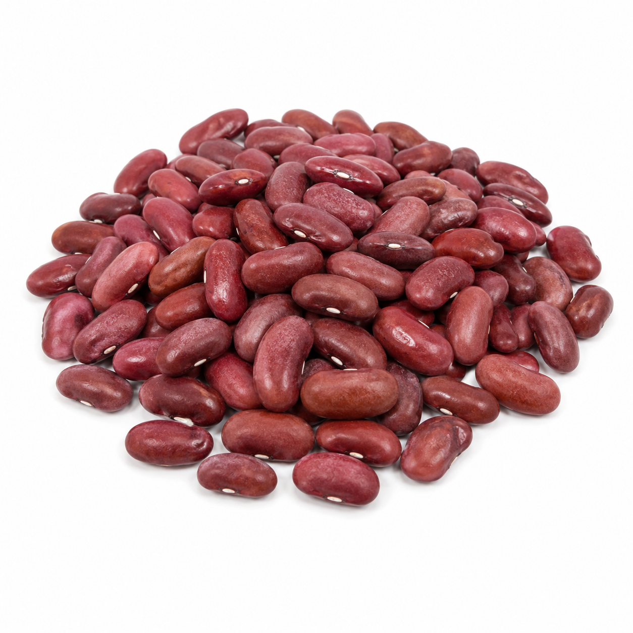 ALUBIA ROJA LEÓN O MORADA