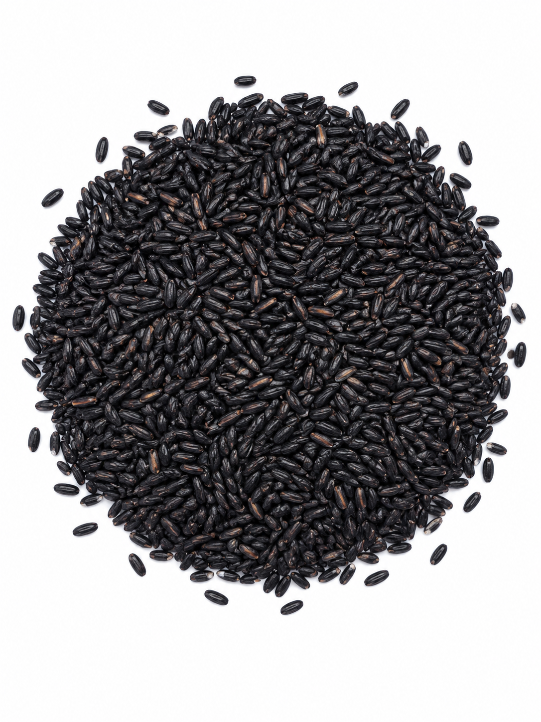 ARROZ NEGRO