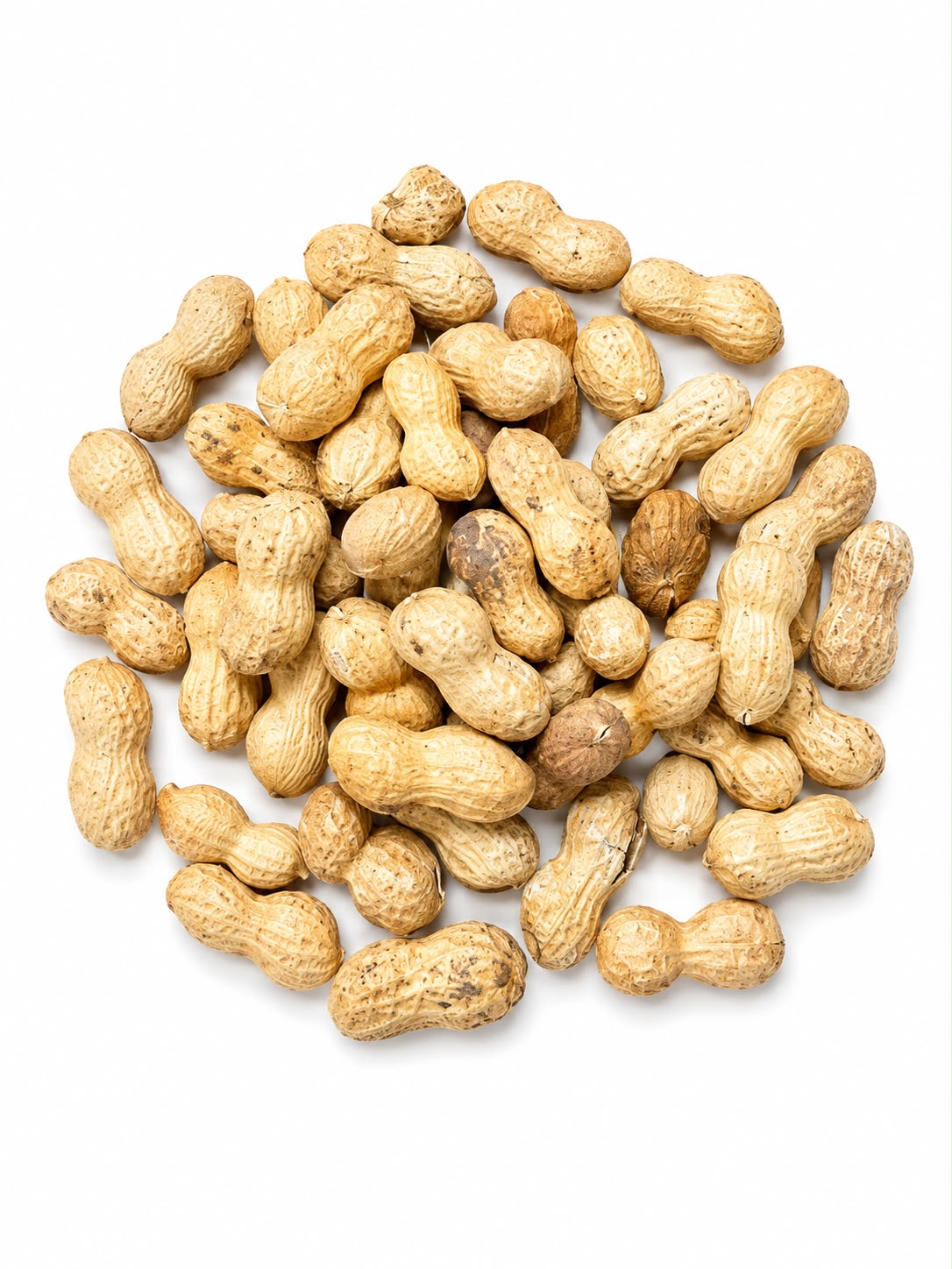CACAHUETE CON CÁSCARA