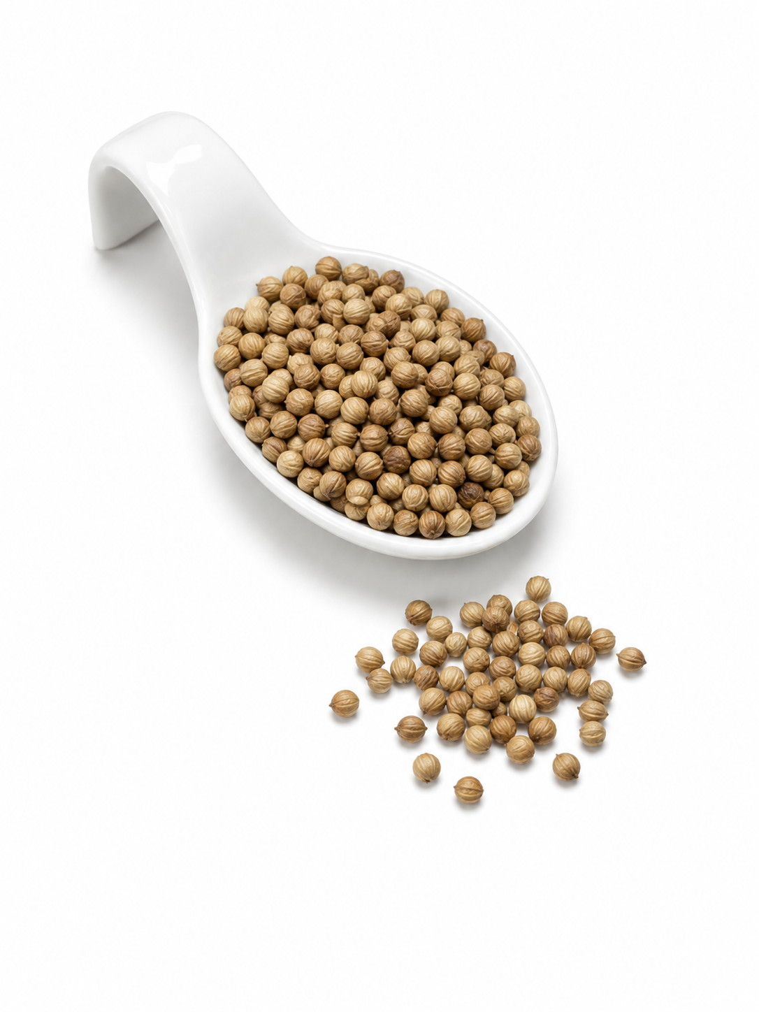 CILANTRO EN GRANO