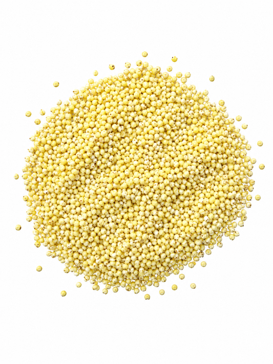 COUS COUS BLANCO