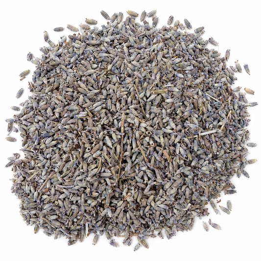 LAVANDA